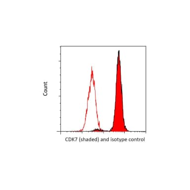 Rabbit anti-CDK7 Recombinant Monoclonal Antibody [BL-80-5D4]