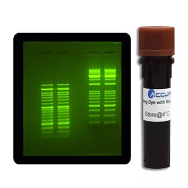 SmartGlow™ Safe Green Pre Stain, 1.0ml