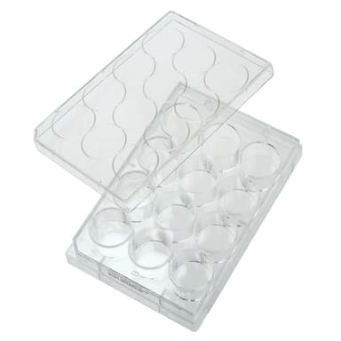 Multiple Well Plates – Non-treated