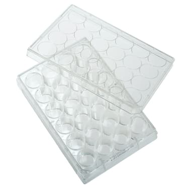 Multiple Well Plates – TCT