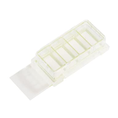 4 Chamber Cell Culture Slide, Glass, Sterile