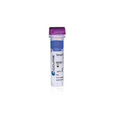 SmartCheck™ DNA Ladder - 1kb DNA Ladder 500ul / 100 lanes