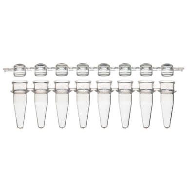 02D 0.2mL 8-Strip Tubes, with Separate 8-Strip clear Dome caps, Natural - PK/1
