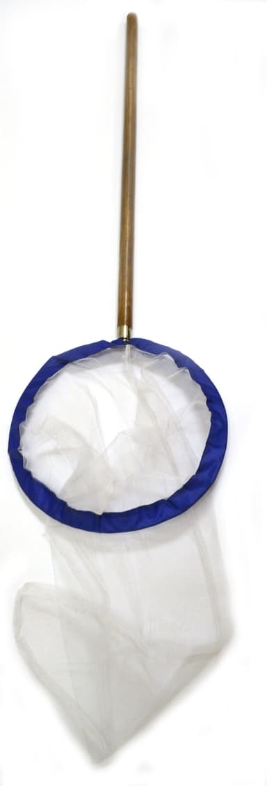 Insect Collecting Net with Wooden Handle, 30 Inch