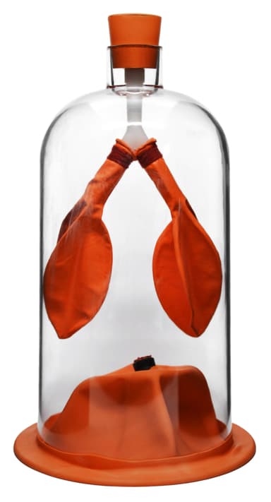 Lung Function Demonstration Model, 13 Inch - Rubber & Plastic - Shows Lung & Diaphragm Air Flow & Muscle Function
