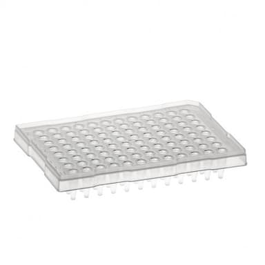 AMPLATE PCR PLATE,1mm Raised Rim, Blue