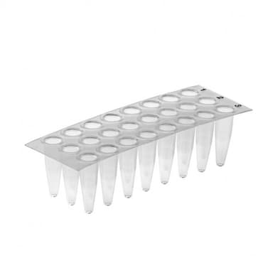 AMPLATE 24 WELLS FLEX. PLATE, PP NATURAL